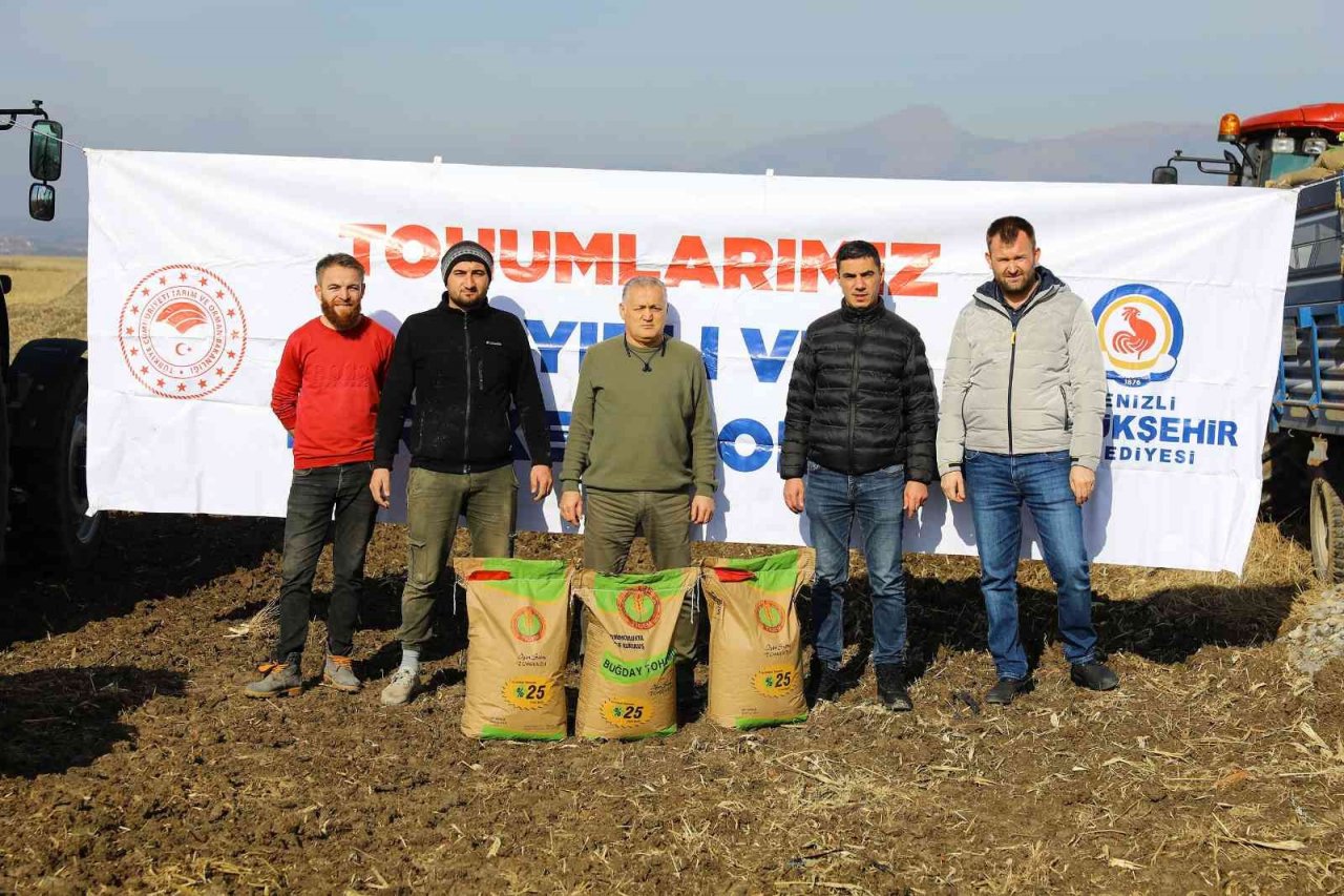Denizli’de çiftçilere dağıtılan sertifikalı tohumlar toprakla buluştu