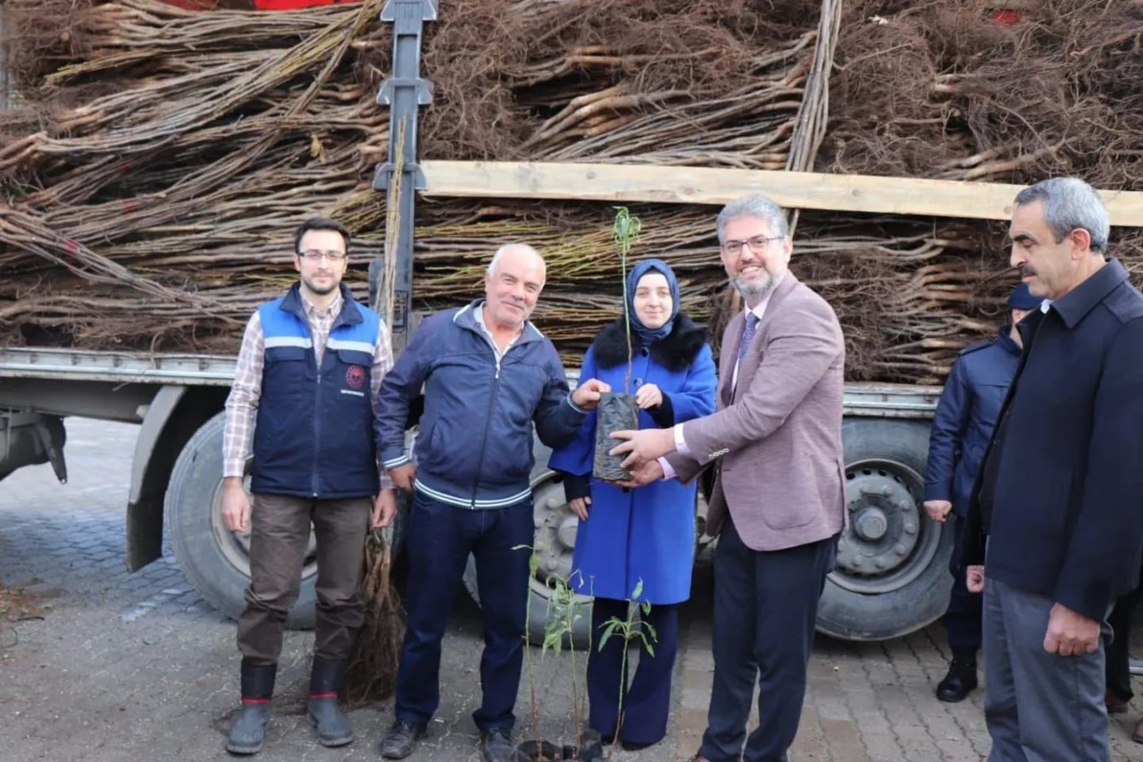 Gölpazarı’nda 13 bin 800 fidan toprakla buluşuyor