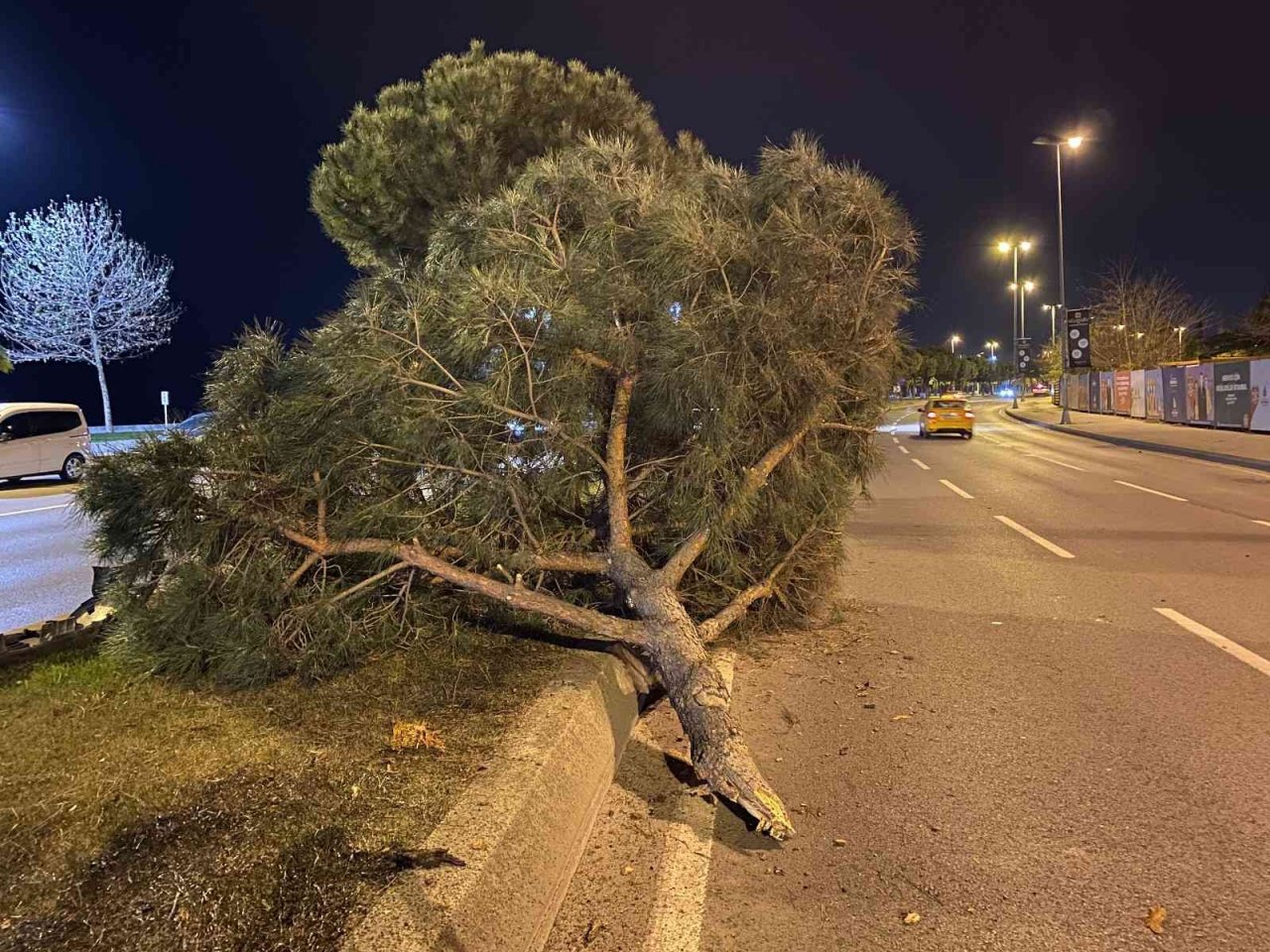 Ağaca çarpıp takla atan aracın sürücüsü olay yerinden kaçtı