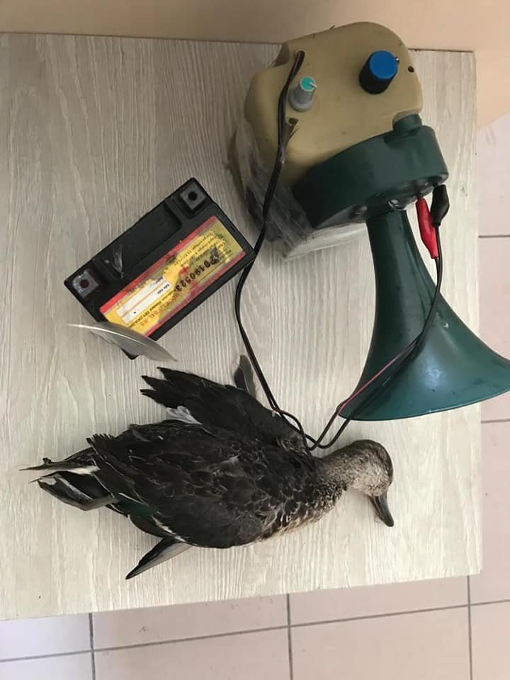 Köyceğiz’de yasak bölgede av yapan şahıs yakalandı