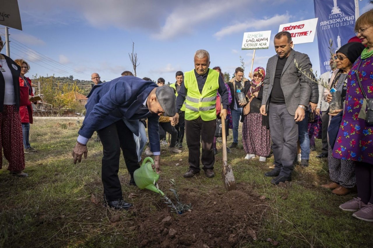 Başkan Soyer: “Zeytine saygıda kusur etmemek gerek”