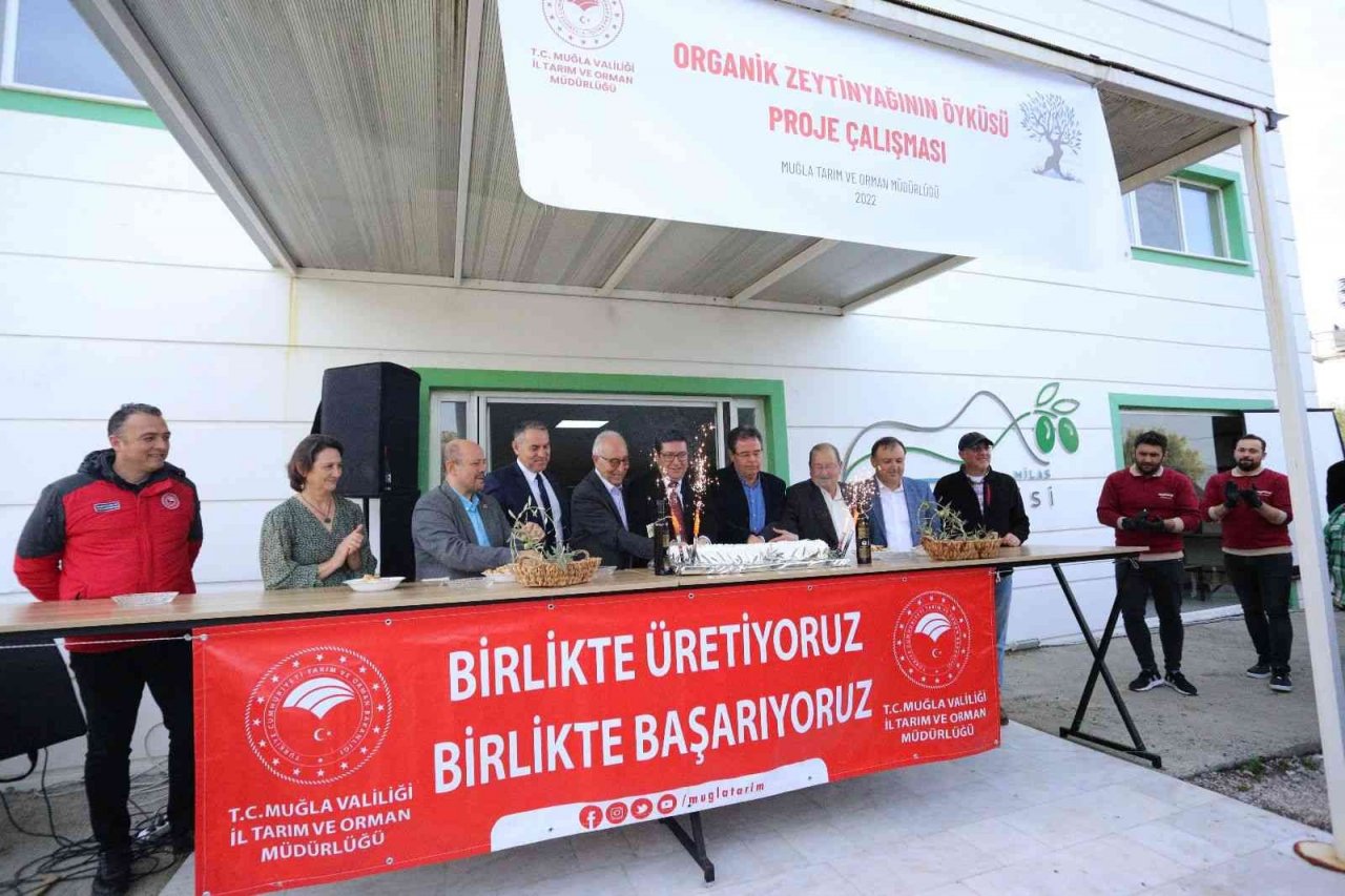 Muğla’da ’Organik Zeytinyağının Öyküsü’ projesi tanıtım toplantısı gerçekleştirildi