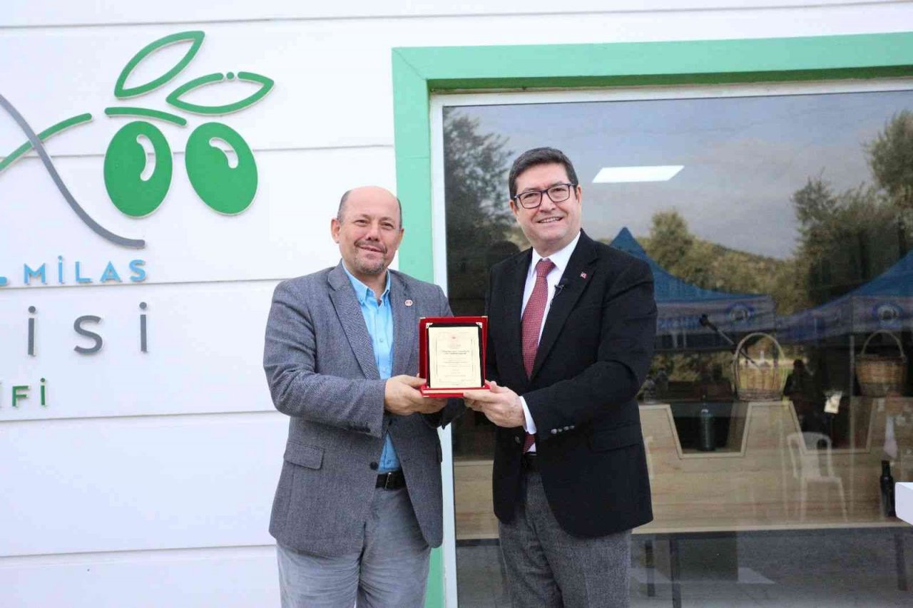 Muğla’da ’Organik Zeytinyağının Öyküsü’ projesi tanıtım toplantısı gerçekleştirildi