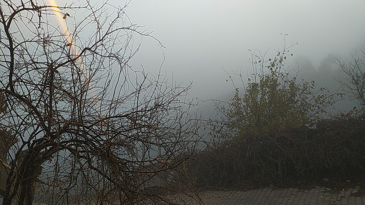 Silvan’da yoğun sis, görüş mesafesini 20 metrenin altına düşürdü