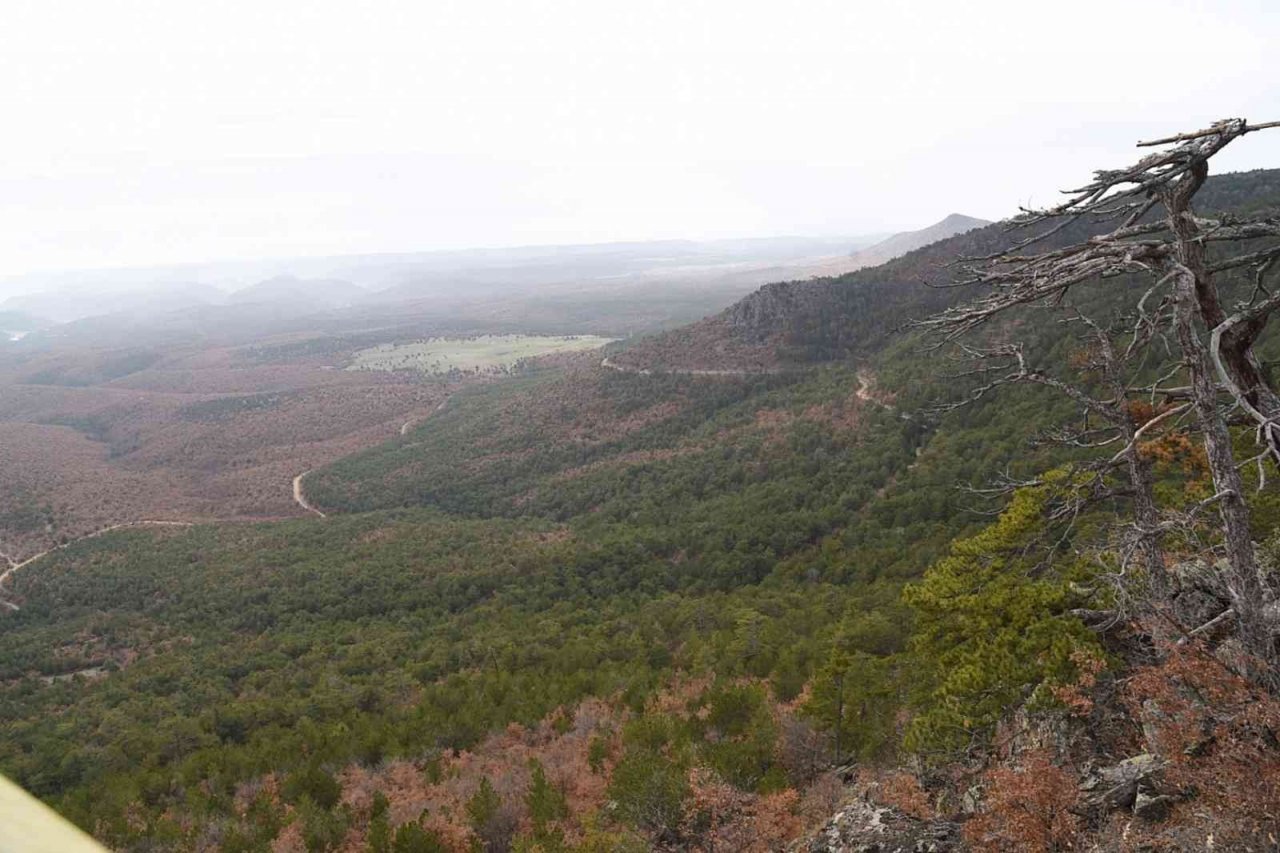 Çatacık Ormanları ekoturizme açılıyor