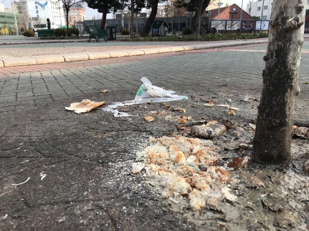 Sevimli dostlar için bırakılan ekmekler bu hale geldi
