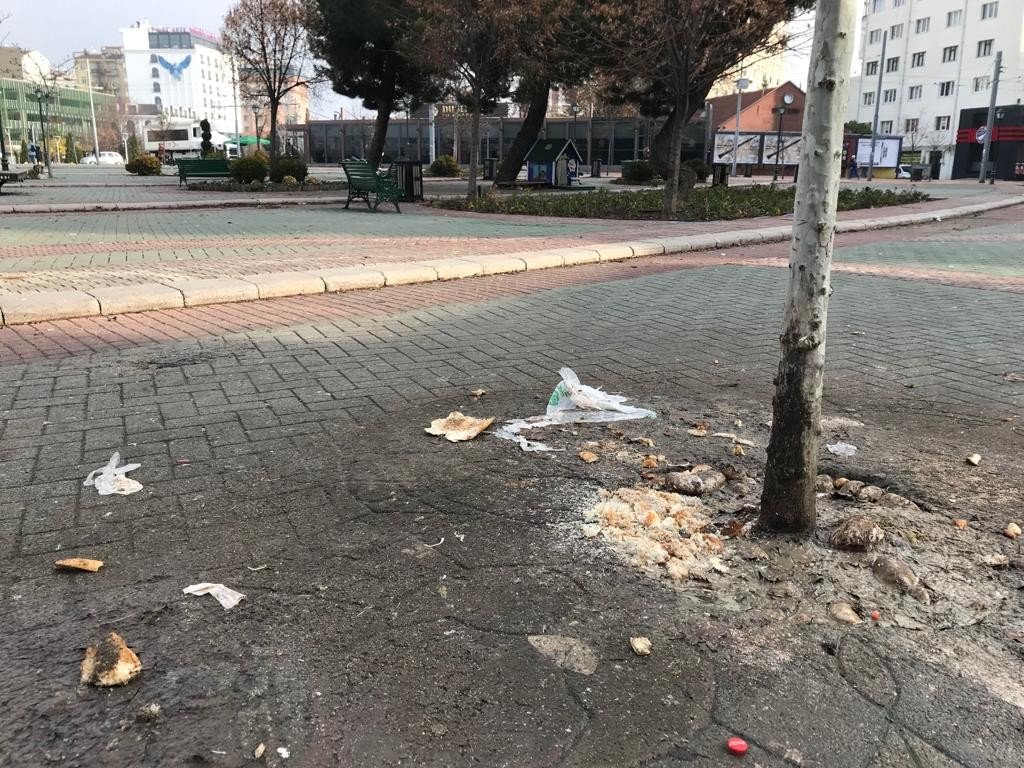 Sevimli dostlar için bırakılan ekmekler bu hale geldi