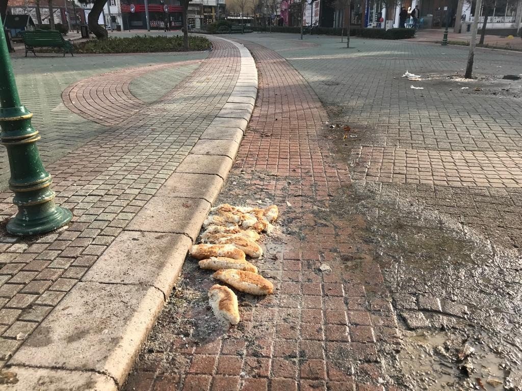 Sevimli dostlar için bırakılan ekmekler bu hale geldi