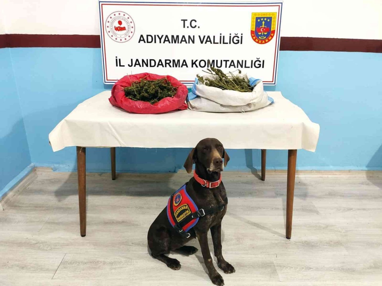 ‘Manken’, ‘Yufka’ ve ‘Arı’ boş geçmiyor