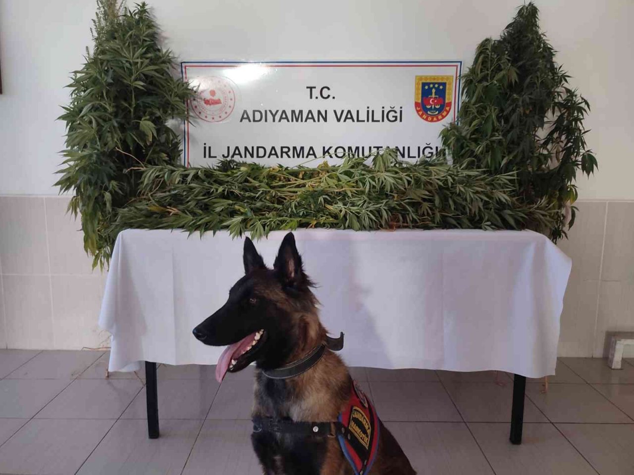 ‘Manken’, ‘Yufka’ ve ‘Arı’ boş geçmiyor