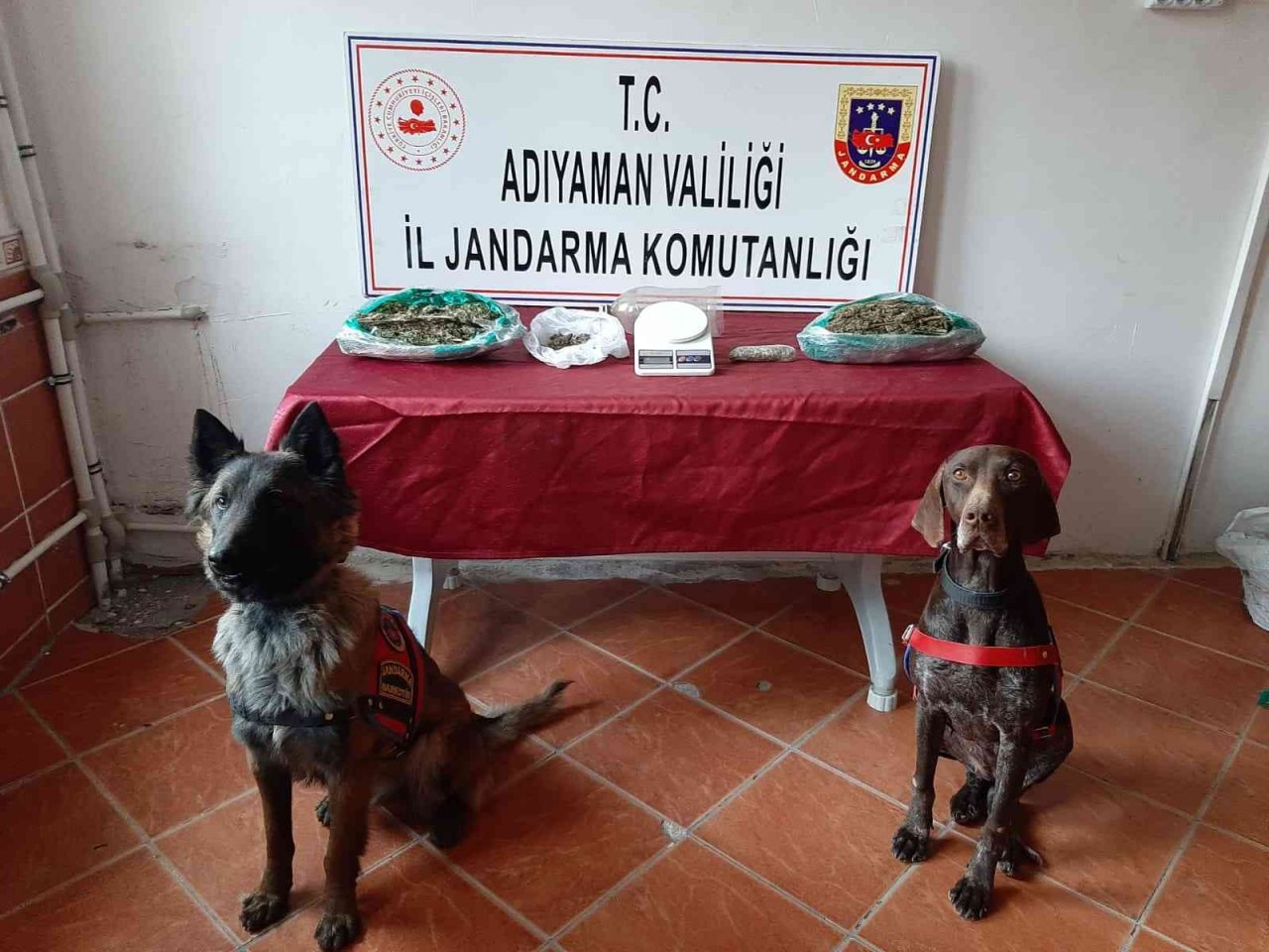 ‘Manken’, ‘Yufka’ ve ‘Arı’ boş geçmiyor