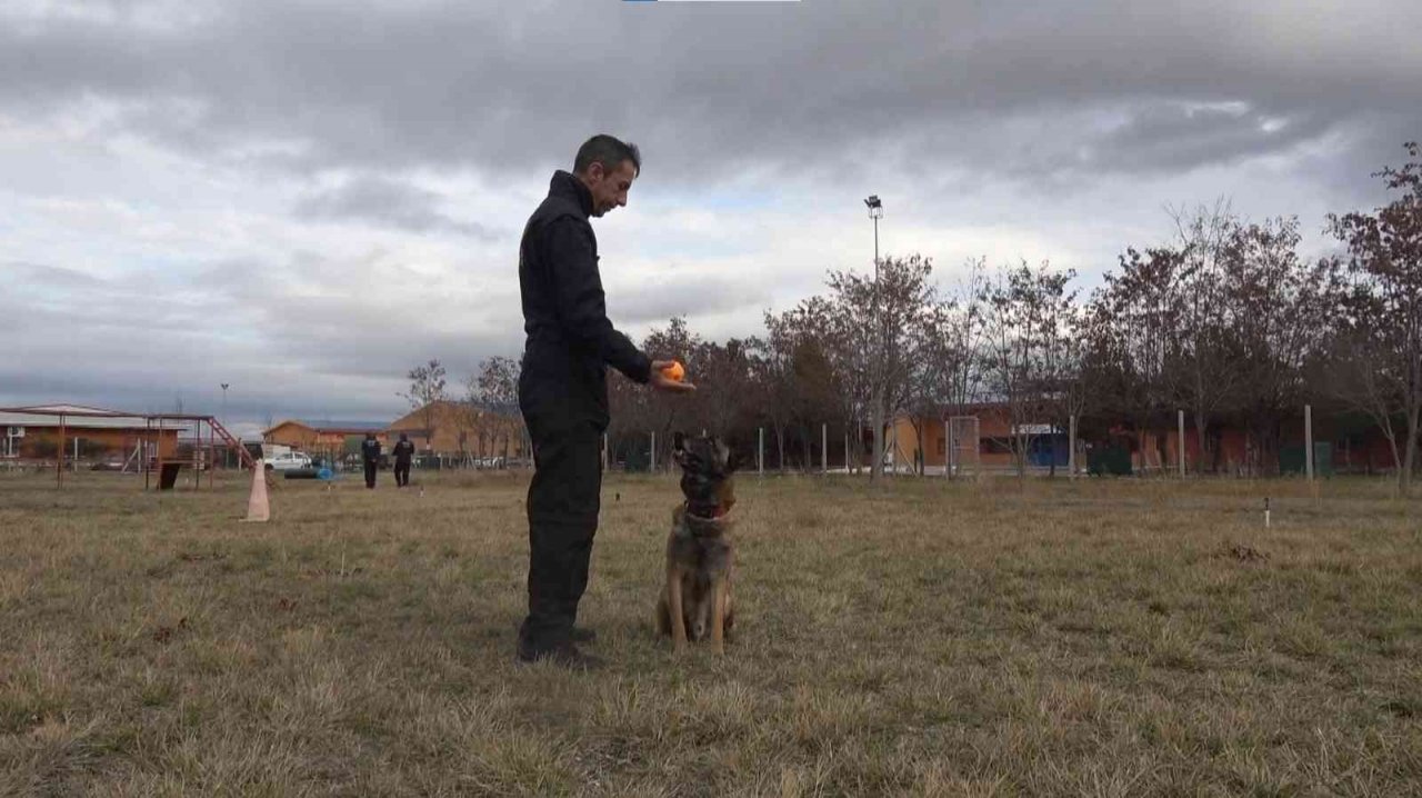 Afyonkarahisar’ın hassas burunları Türkiye’nin her yerinde görev yapıyor
