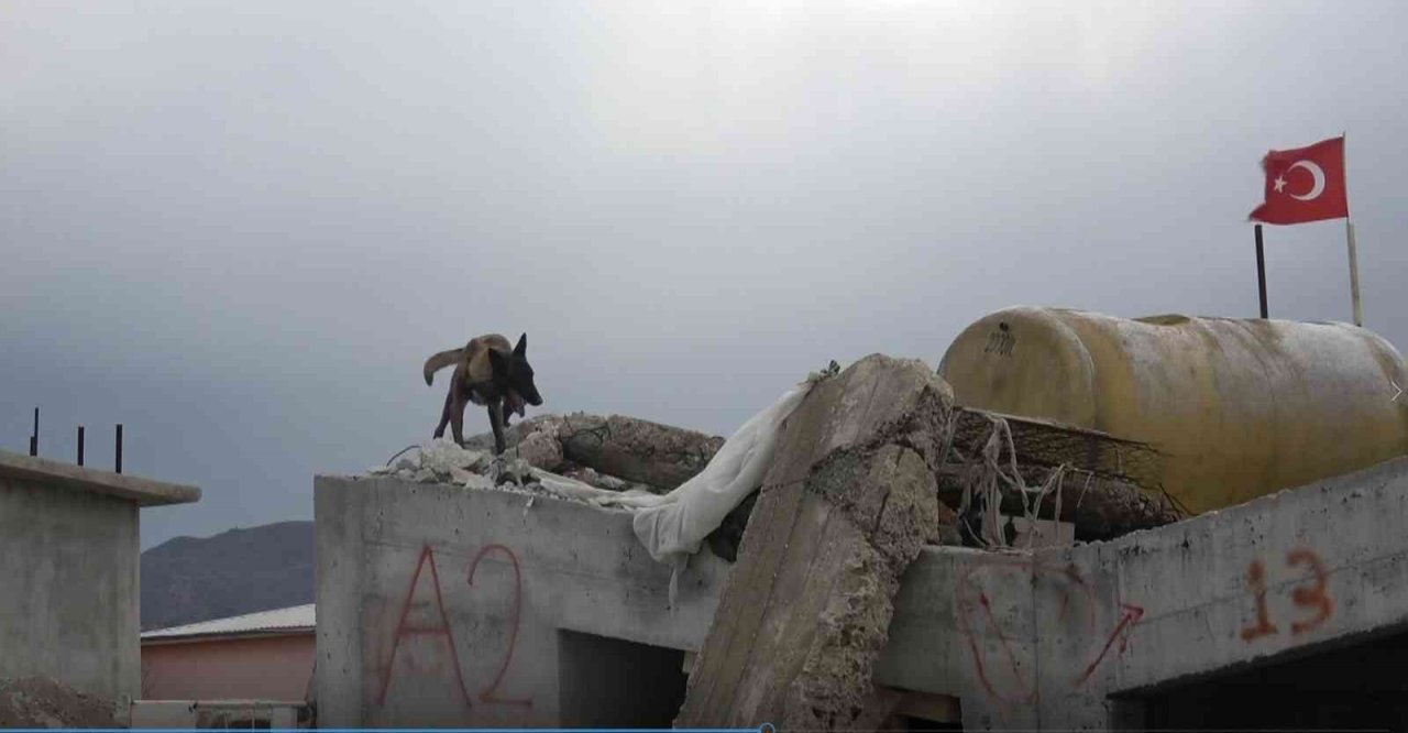 Afyonkarahisar’ın hassas burunları Türkiye’nin her yerinde görev yapıyor