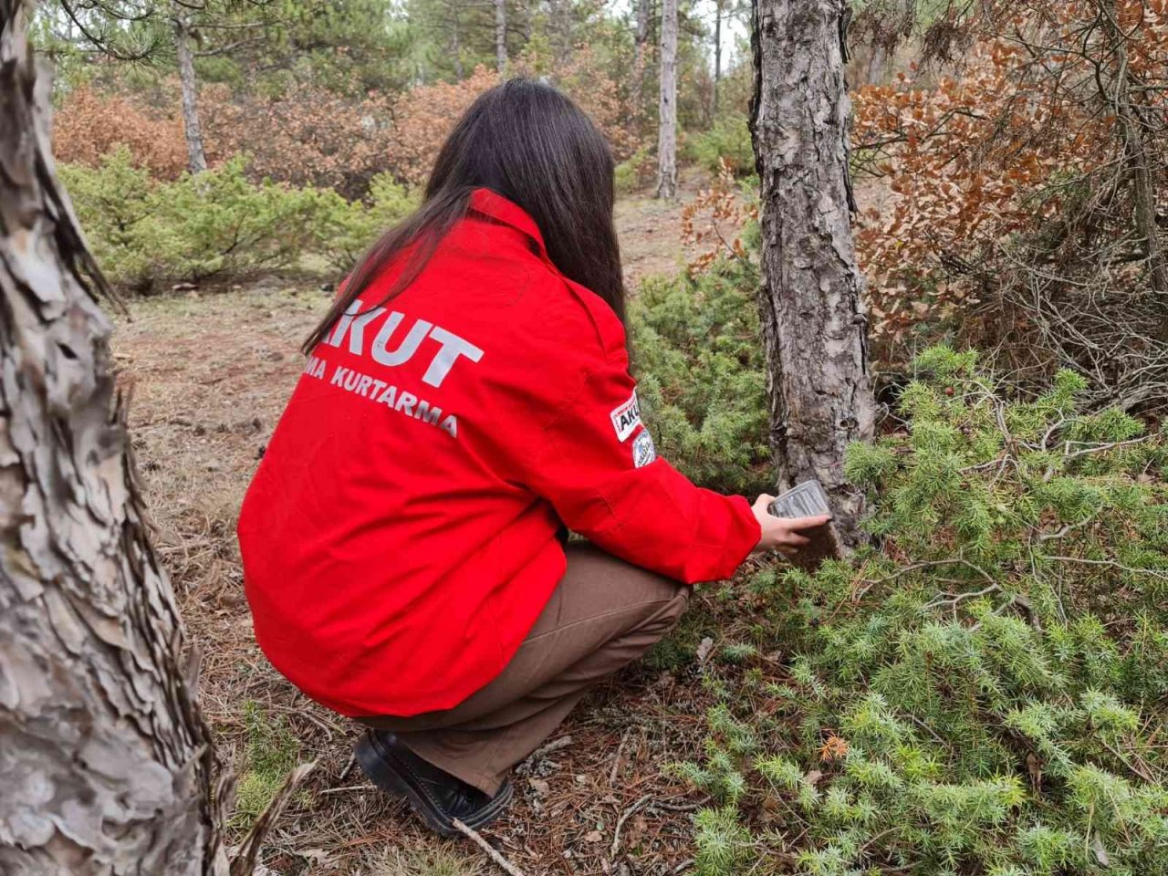 AKUT ve öğrenci kulüpleri sokak hayvanlarına yiyecek bıraktı