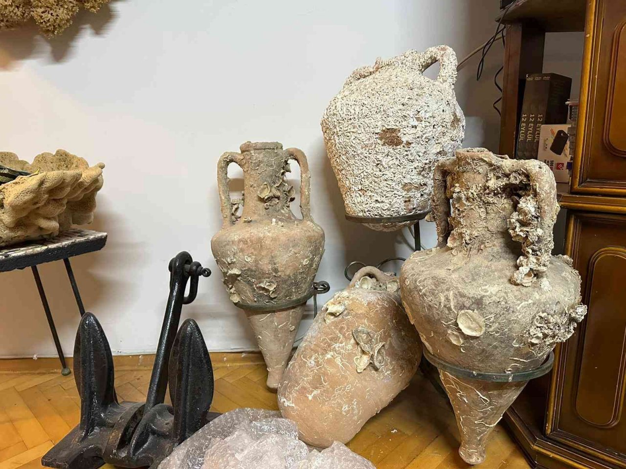 Kadıköy’de yabani hayvan boynuzu operasyonu