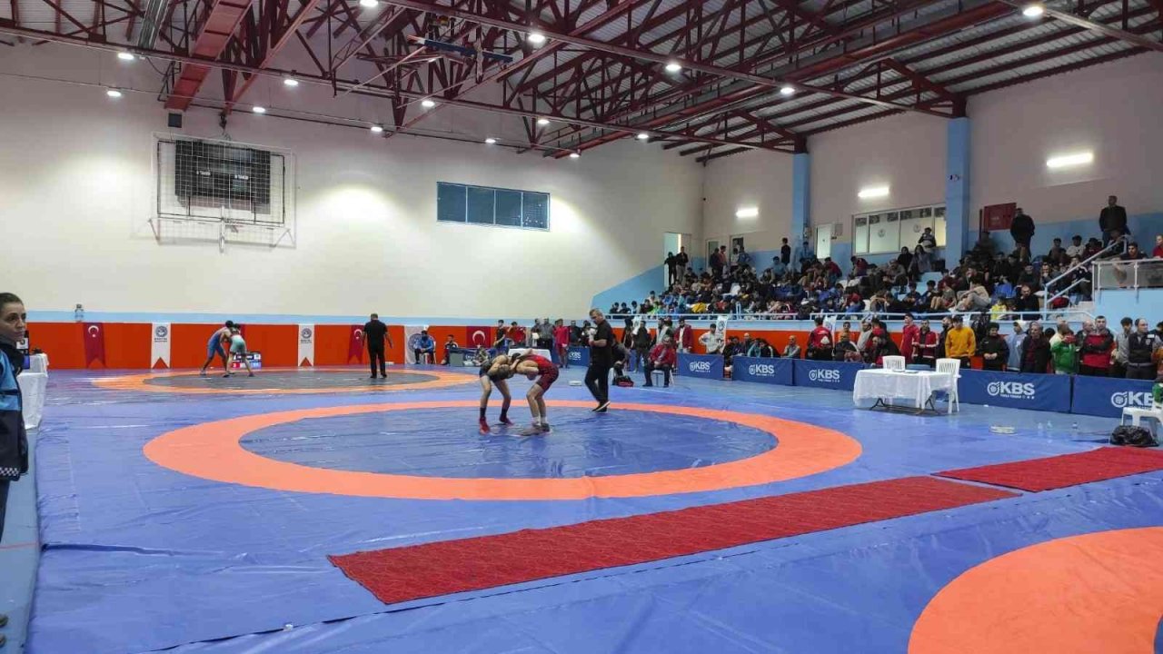 Bursa’da geleneksel Reşit Karabacak serbest güreş turnuvası yapıldı