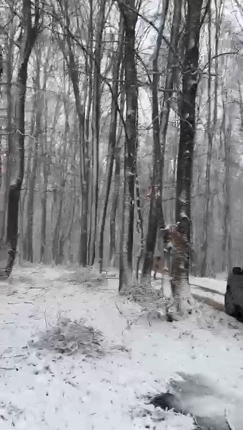 İznik‘te kar etkisini sürdürüyor