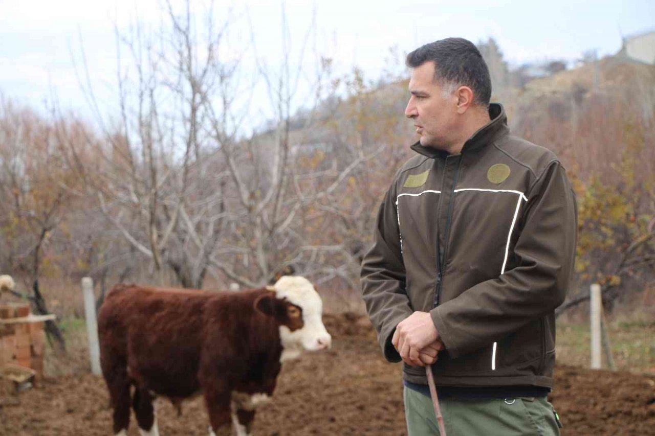 Bankacılığı bıraktı, devlet desteğiyle köyüne yerleşip hayvancılığa başladı