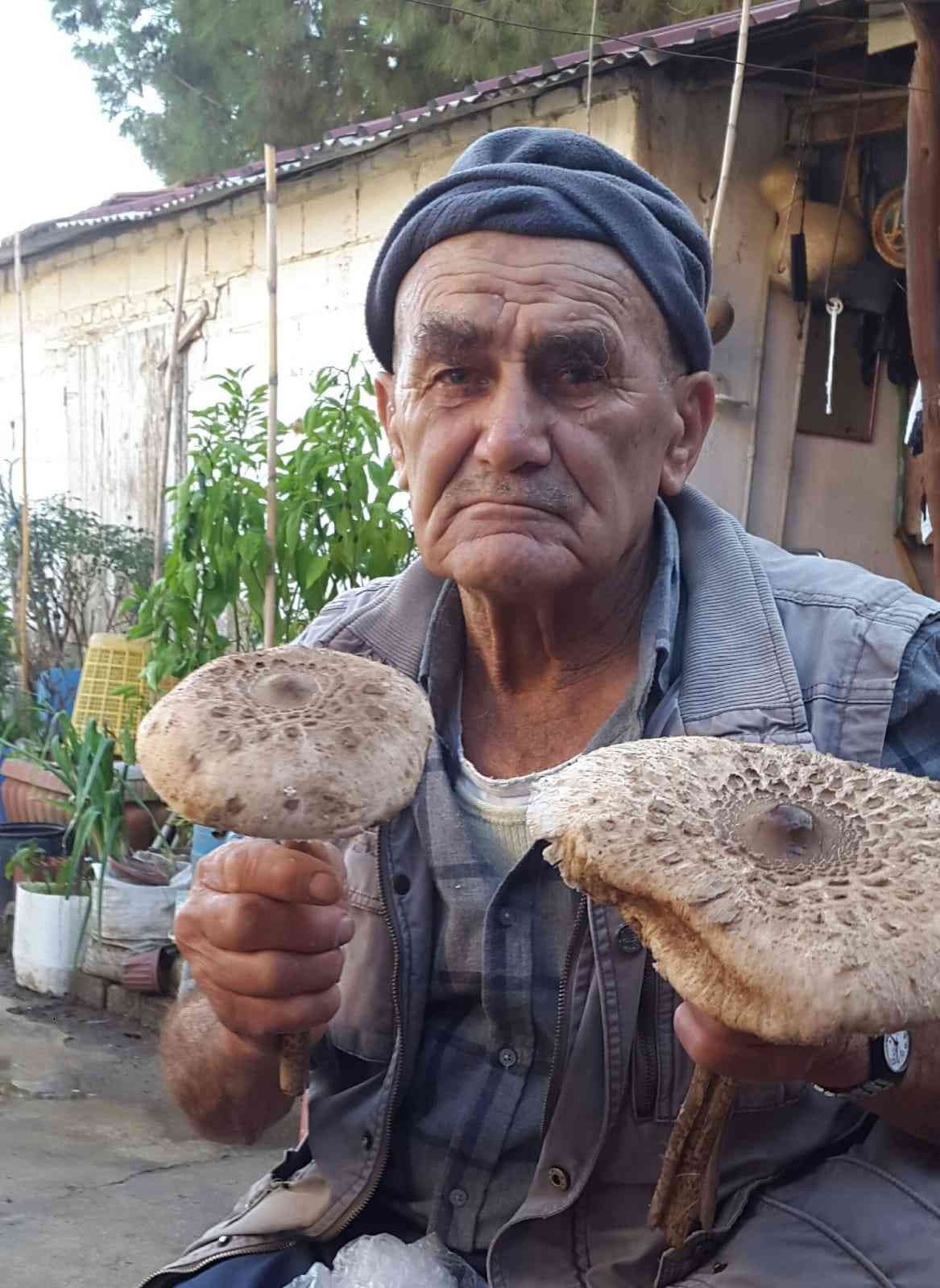 Devasa mantar ilgi odağı oldu