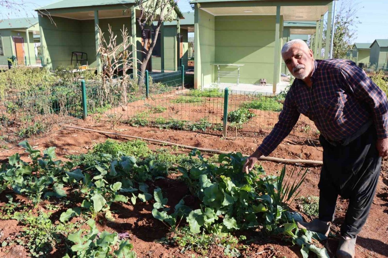 Emekliler zamanlarını sebze işiyle geçiriyor