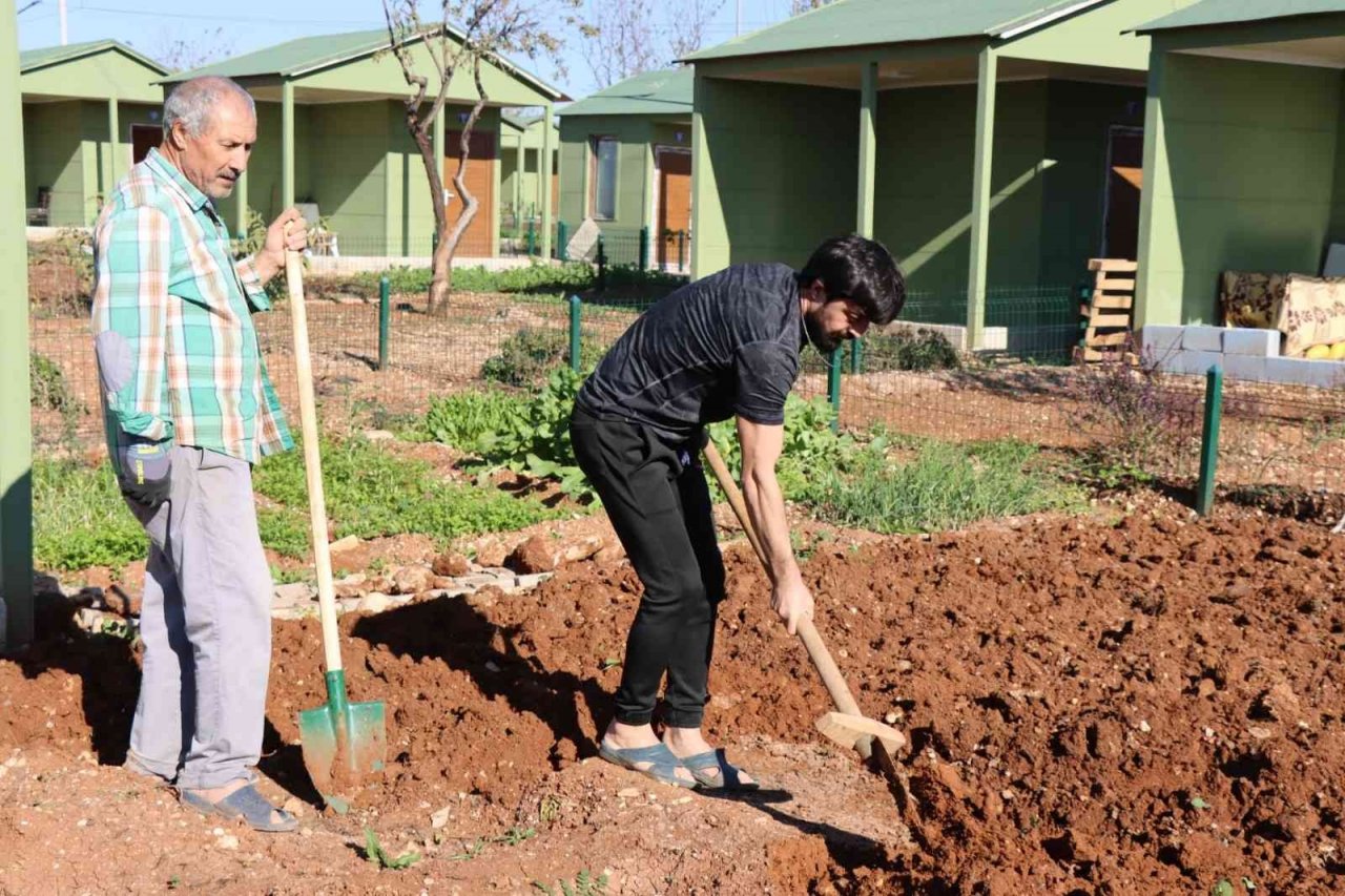 Emekliler zamanlarını sebze işiyle geçiriyor