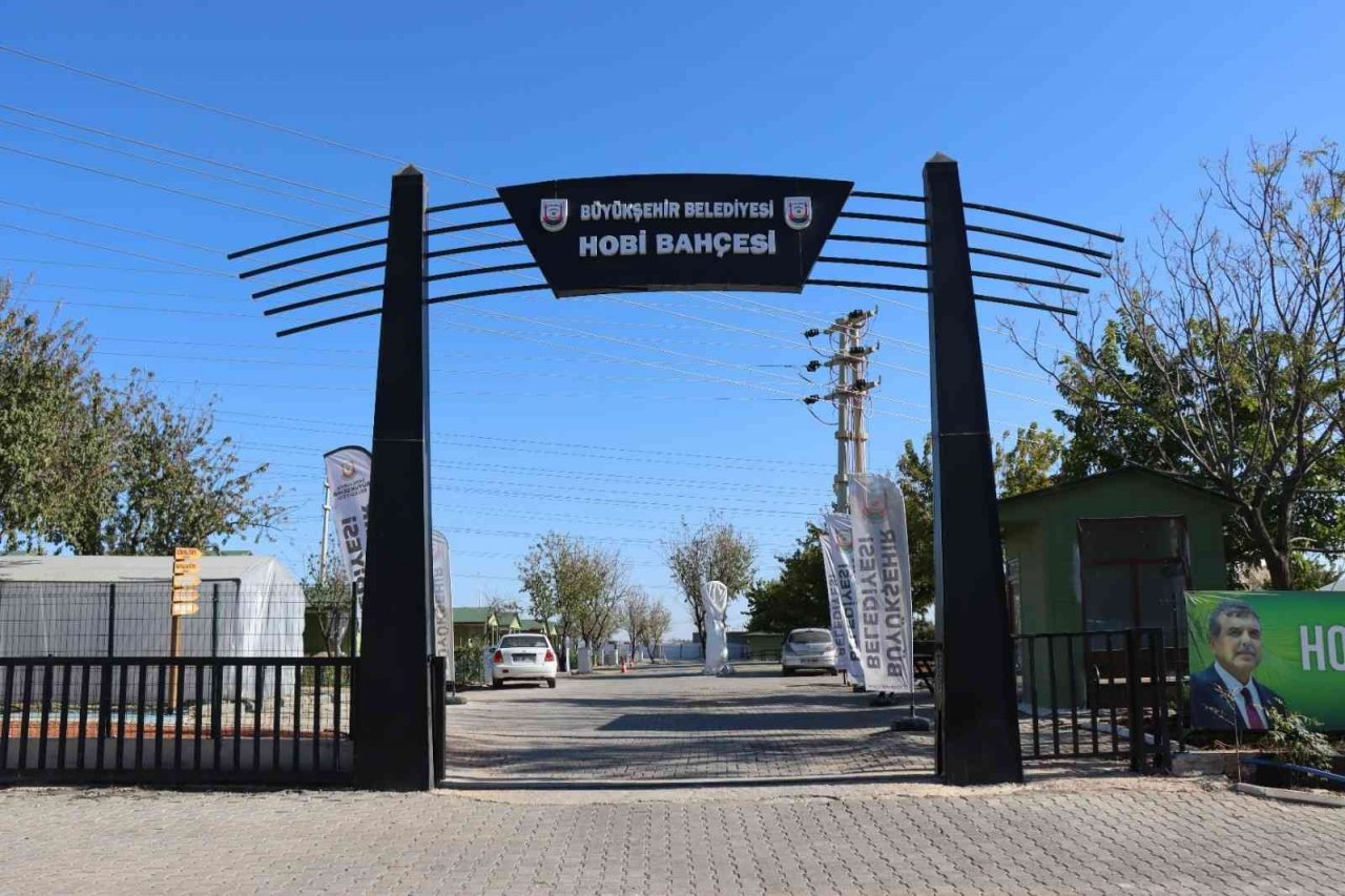 Emekliler zamanlarını sebze işiyle geçiriyor