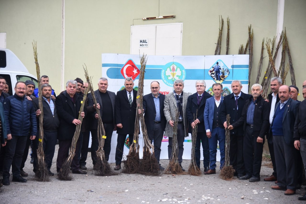 Akhisarlı üreticiye fidan desteği