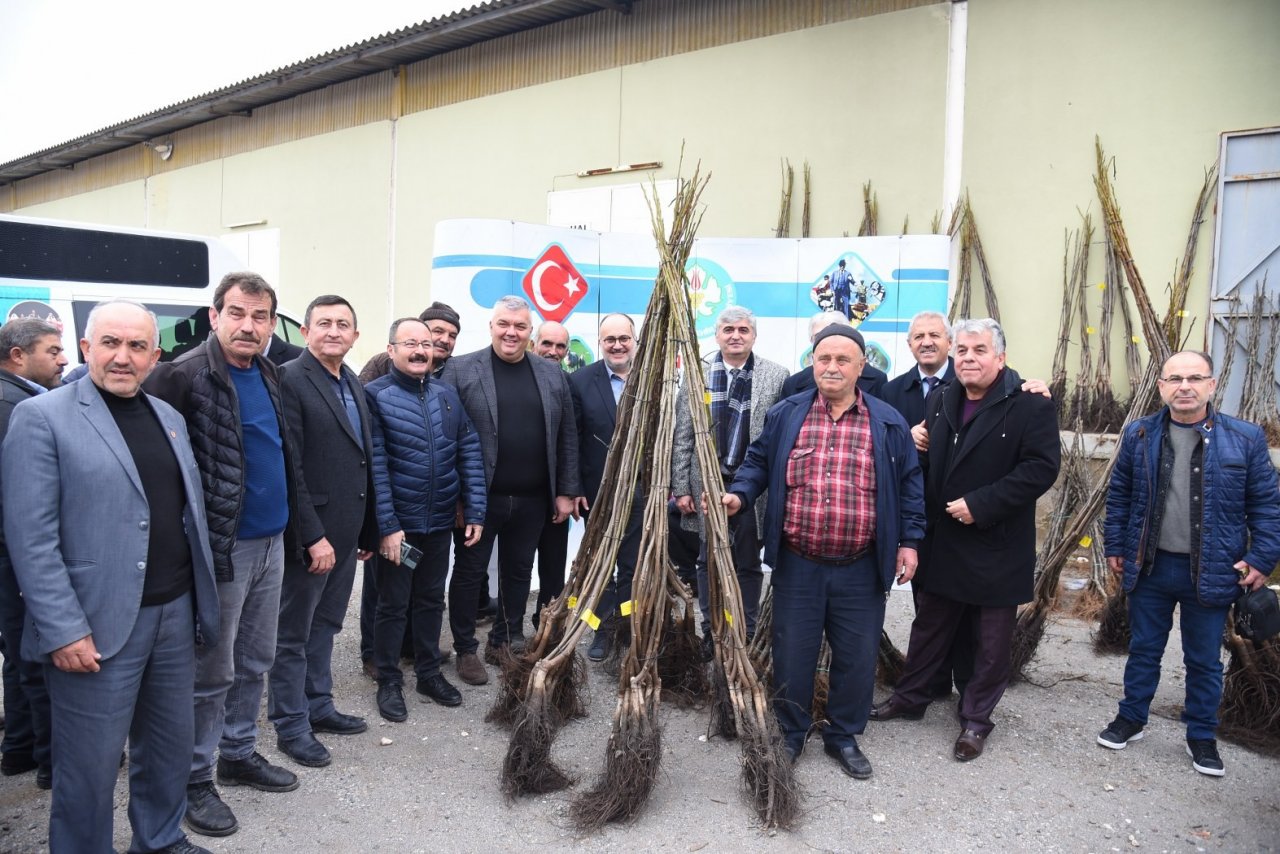 Akhisarlı üreticiye fidan desteği