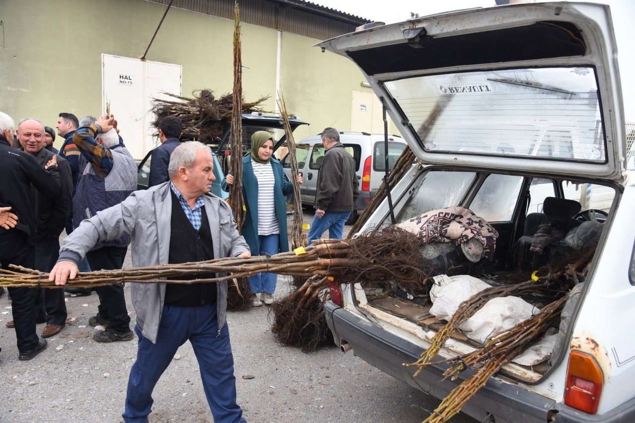 Akhisarlı üreticiye fidan desteği