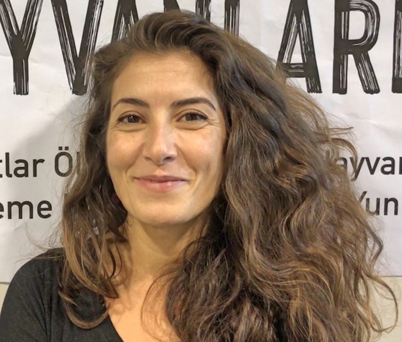 Marmaris’teki yunus parkında bir yunus daha hayatını kaybetti