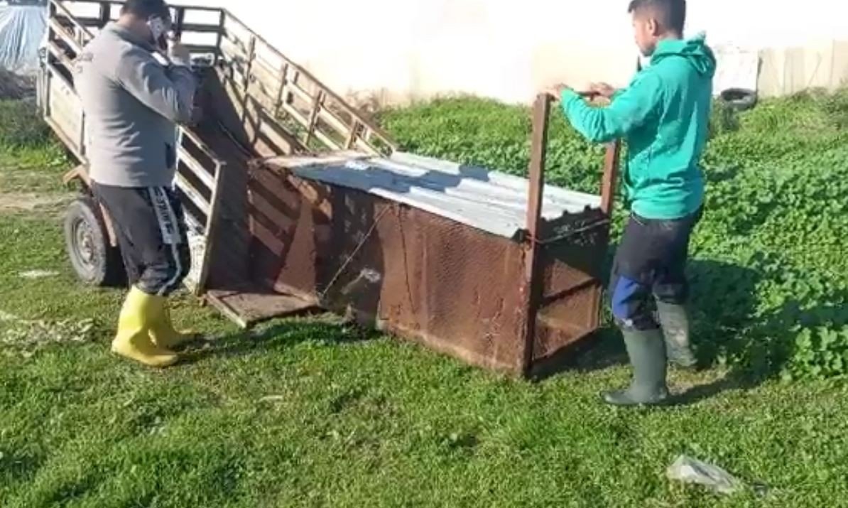 Tilkinin kurnazlığı, emekli polisin ‘Battal Gazi’ kapanına sökmedi