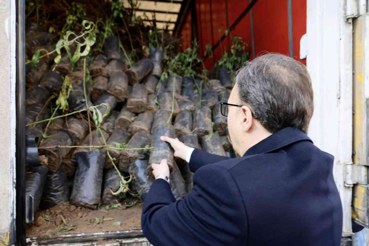 Devlet desteği ile çiftçilere 53 bin adet fidan dağıtıldı