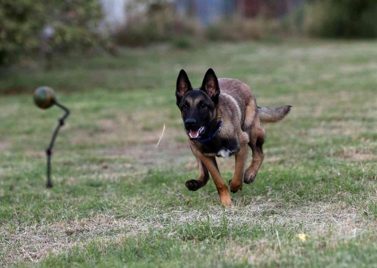Ağırlığının 6 katı uyuşturucu buldu