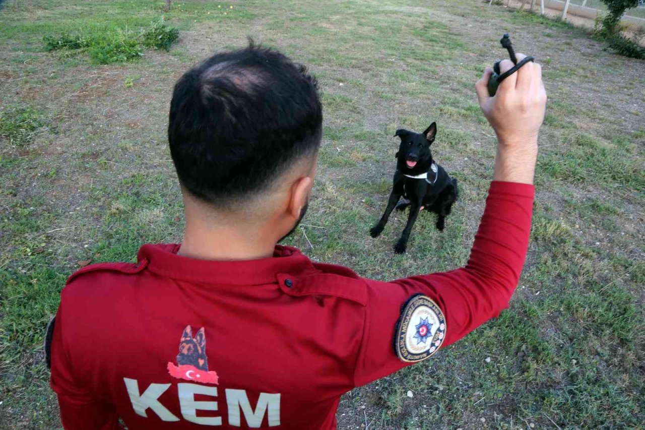 Ağırlığının 6 katı uyuşturucu buldu