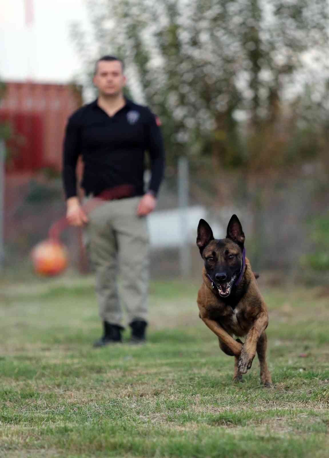 Ağırlığının 6 katı uyuşturucu buldu