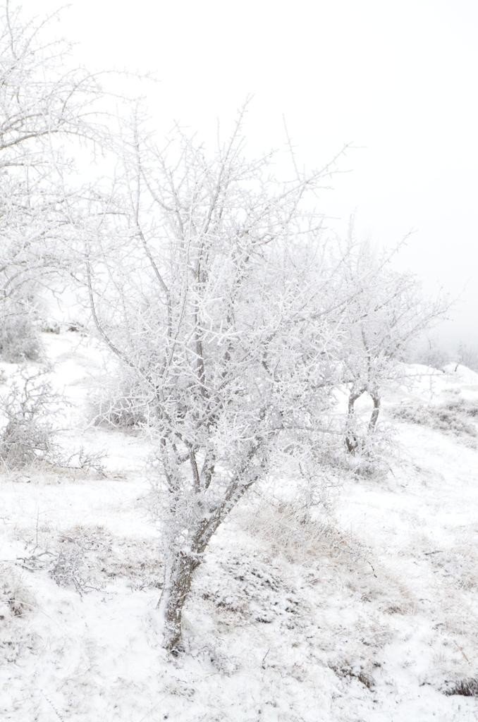 Kocatepe beyaza büründü