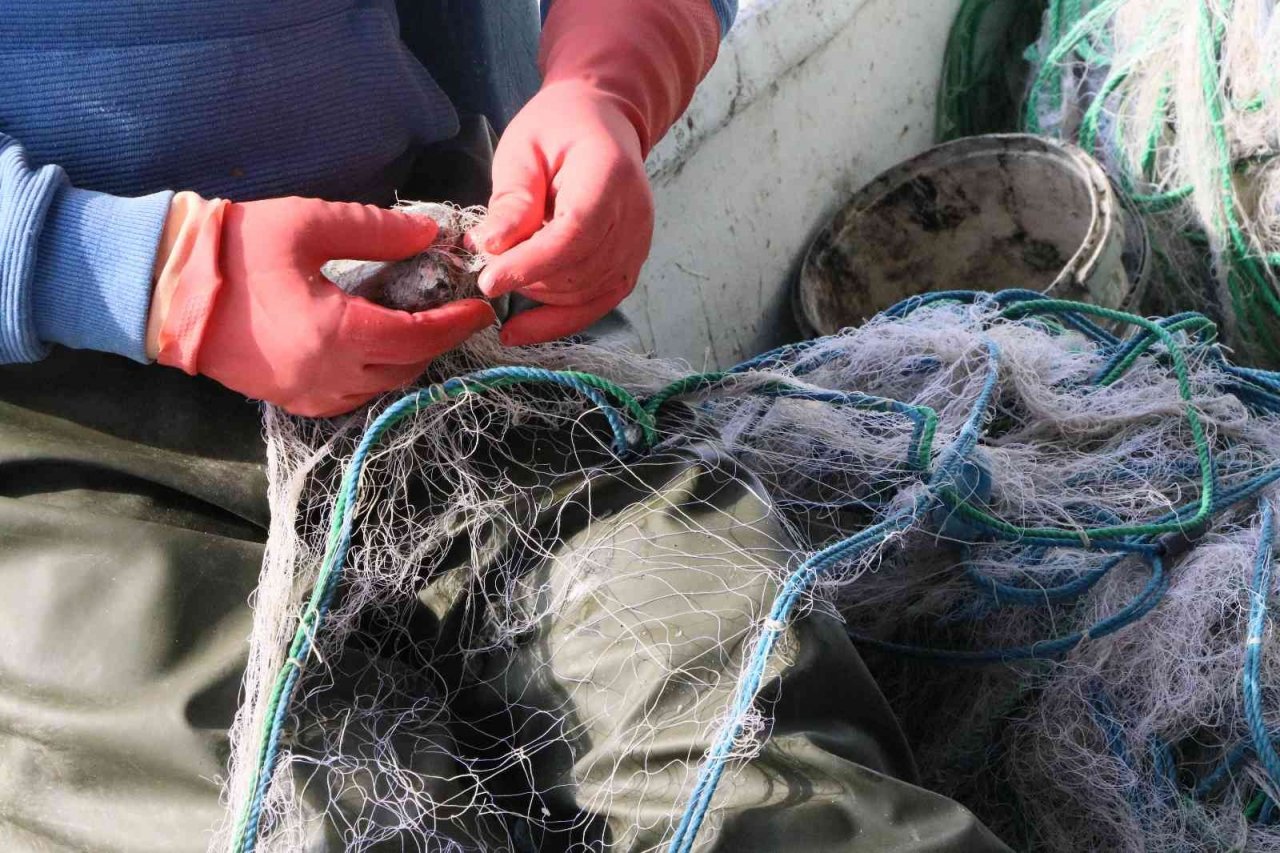 Balıkçıların zorlu ağ mücadelesi