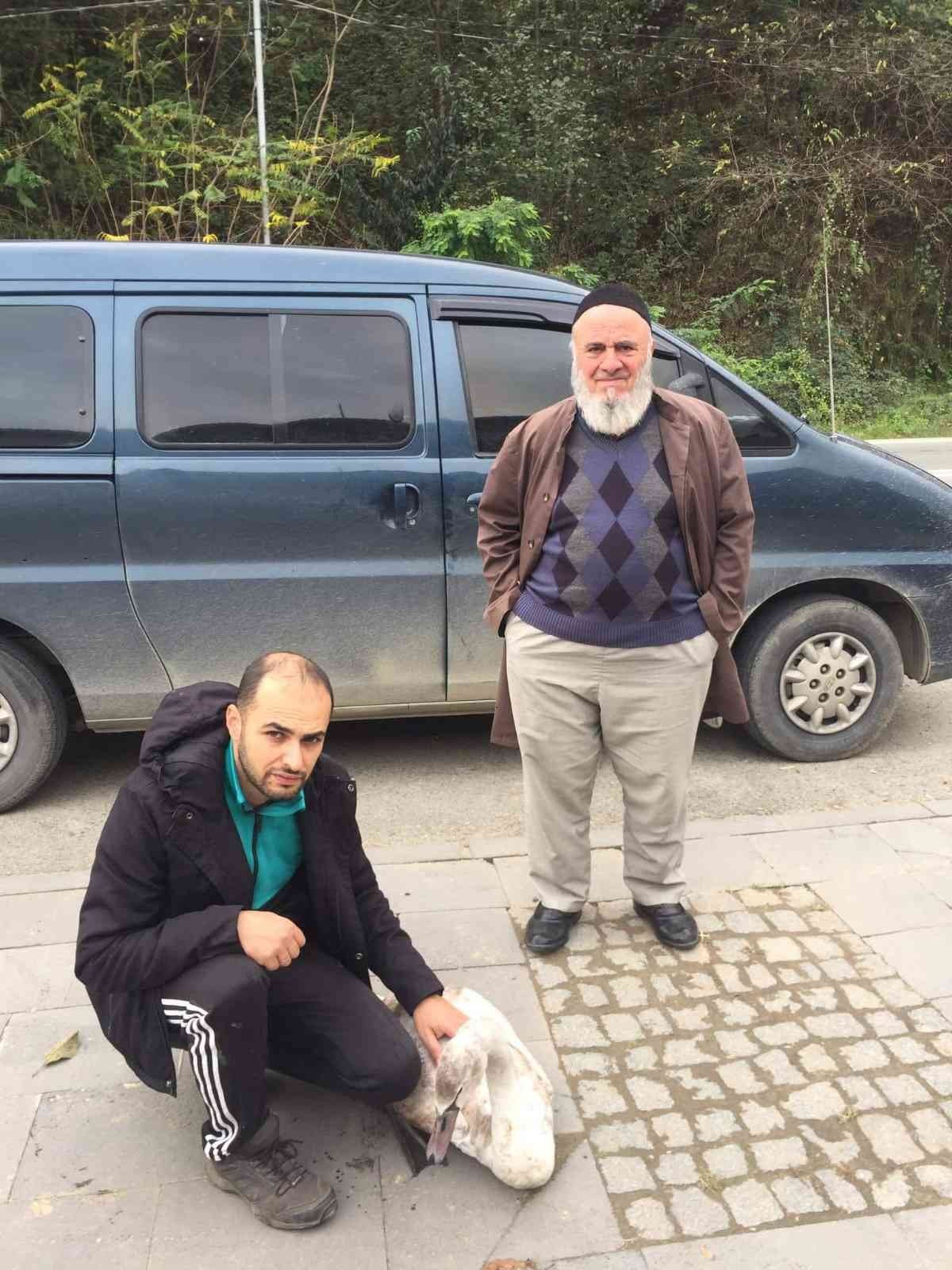 Yaralı halde bulunan kuğu Doğa Koruma ve Milli Parklar İl Müdürlüğü’ne teslim edildi