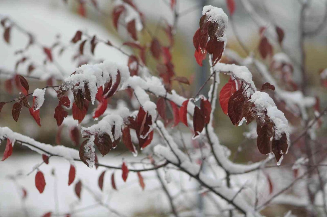 Bayburt merkeze mevsimin ilk karı yağdı