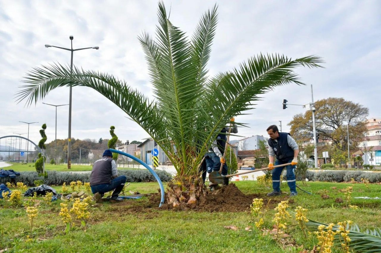 Çevre Dostu Biga Belediyesi Şehri Güzelleştiriyor