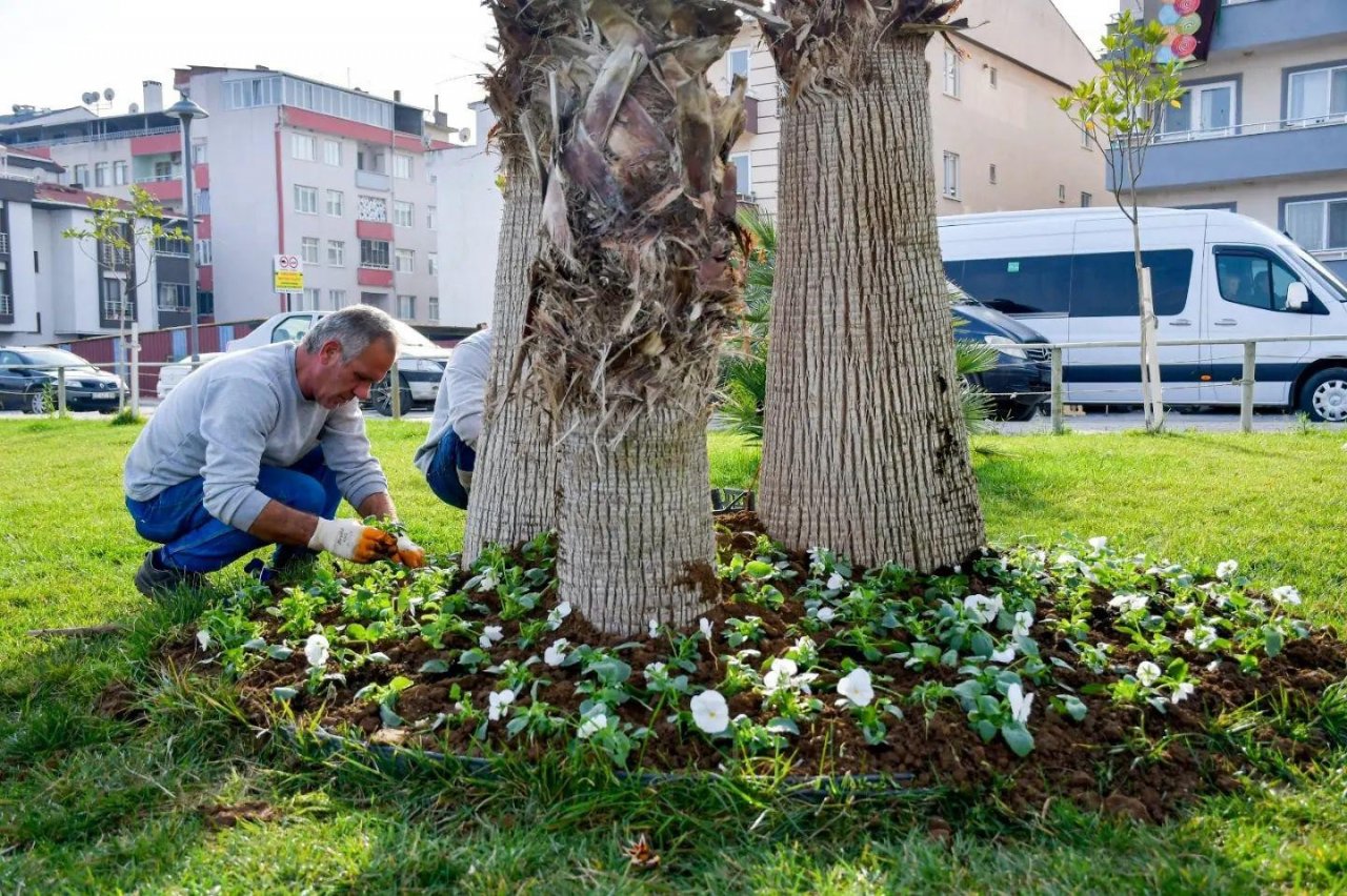 Çevre Dostu Biga Belediyesi Şehri Güzelleştiriyor