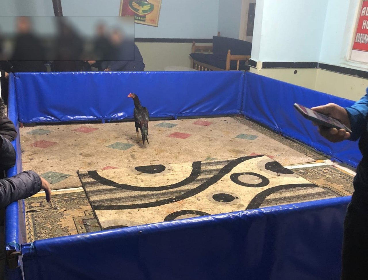 Bismil’de’ huzur’ uygulamasında 36 şüpheli hakkında işlem başlatıldı