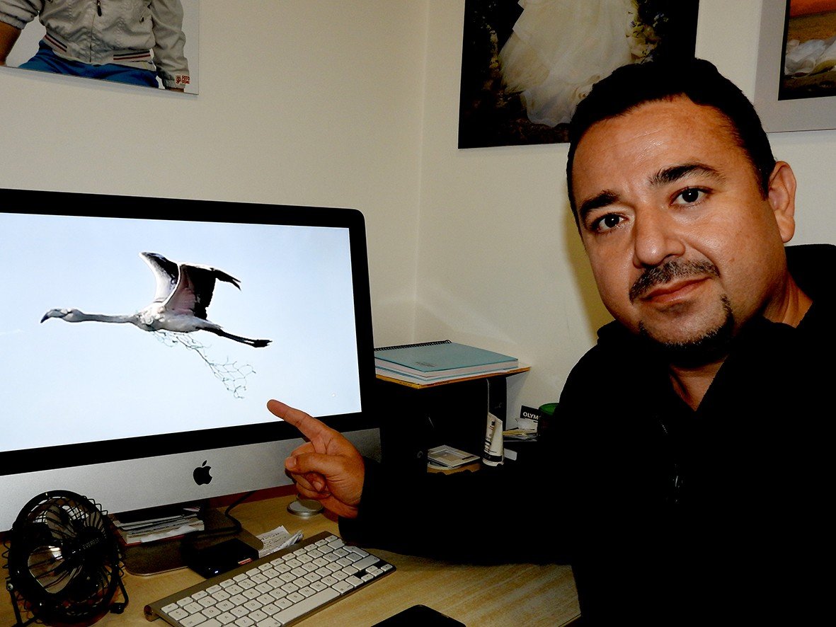 Boynunda ağla uçan flamingo, denizdeki kirliği ortaya serdi