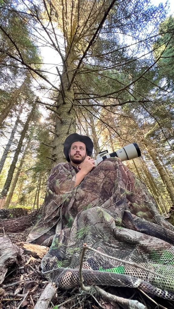 Türkiye’nin en şansız geyiği görüntülendi, şanssızlığının altında yatan sebep ise bir hayli ilginç