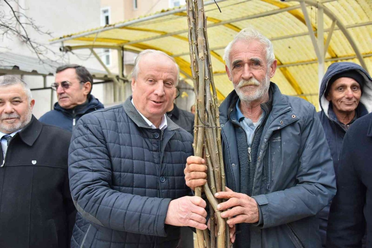 Bozüyük’te 898 adet ceviz fidanı dağıtıldı