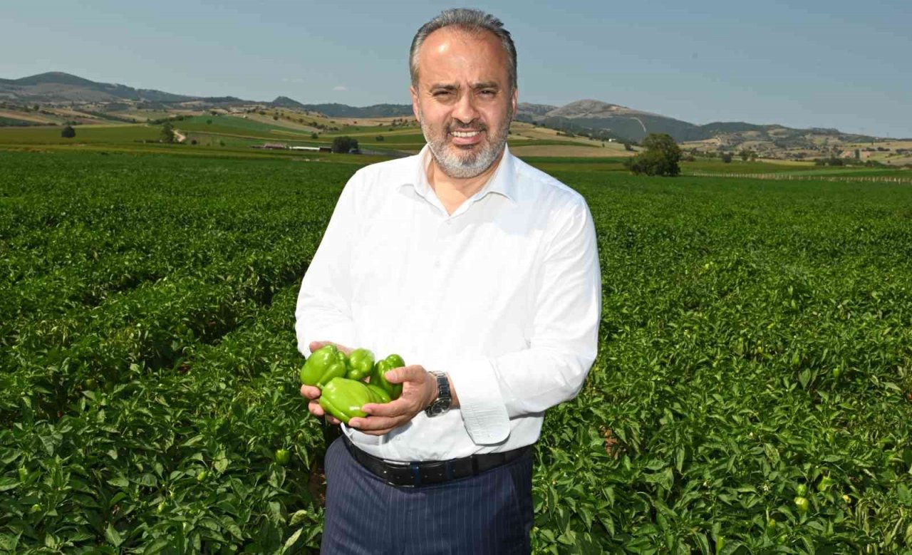 Yenişehir Biberi’ne de tescil belgesi