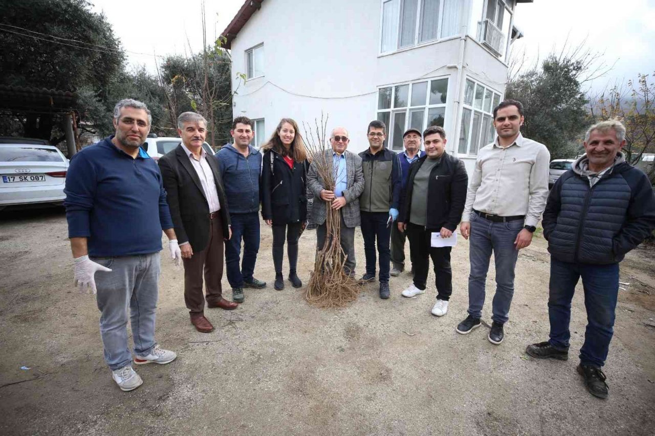 Gökçeada’da 6 bin 410 aşılı fidan toprakla buluşturulmak üzere üreticilere dağıtıldı