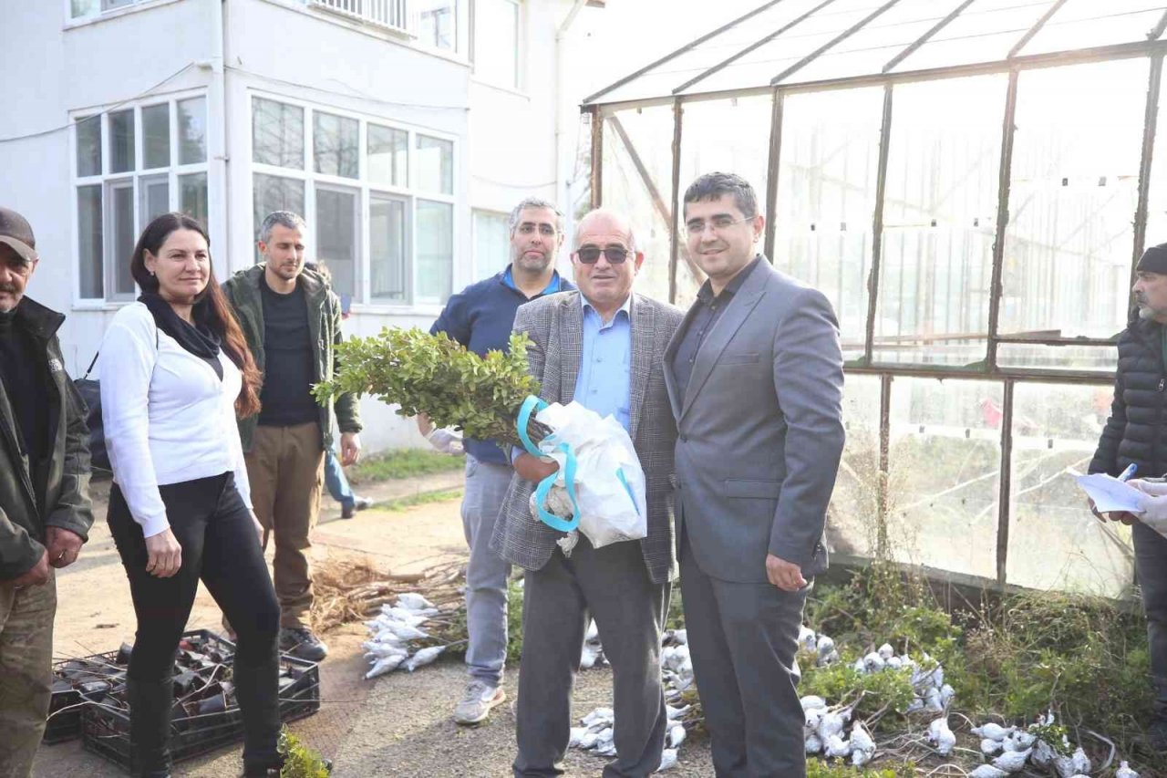 Gökçeada’da 6 bin 410 aşılı fidan toprakla buluşturulmak üzere üreticilere dağıtıldı