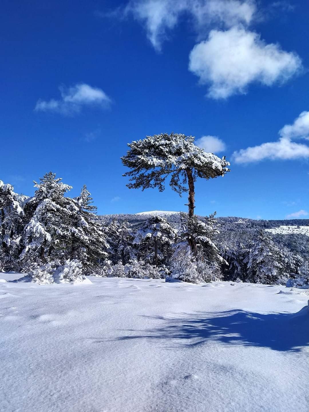 Türkmen Dağı da beyaza büründü