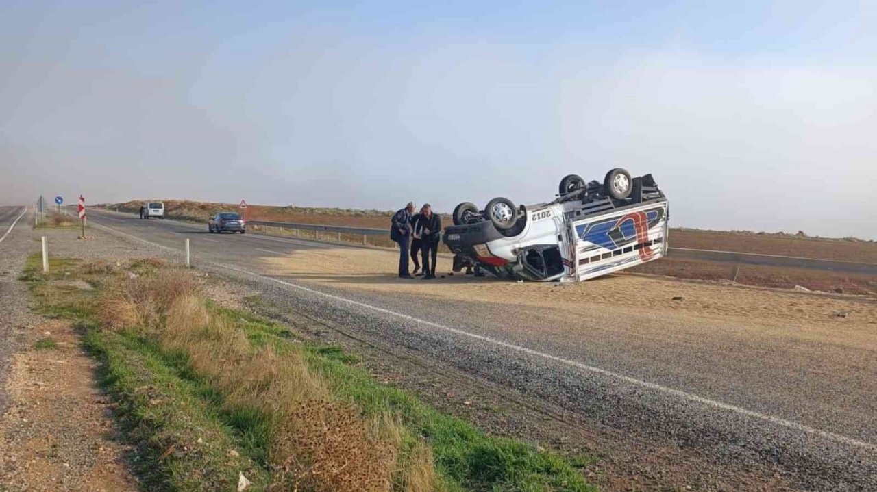 Bariyerlere çarpan kamyonet ters döndü, tahıl yola savruldu